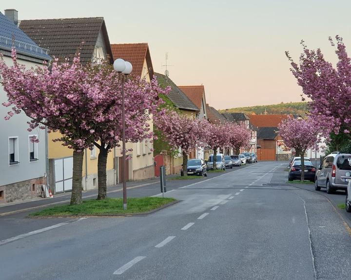 Hessischer Hof